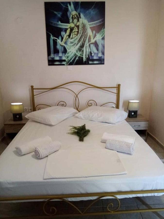 Villa Hellas Afiartis Bagian luar foto